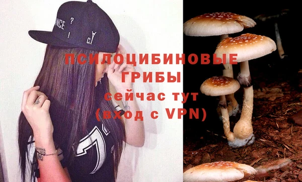 ПСИЛОЦИБИНОВЫЕ ГРИБЫ Алексеевка