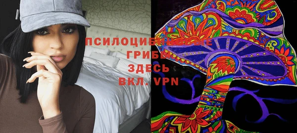 ALPHA PVP Алексин