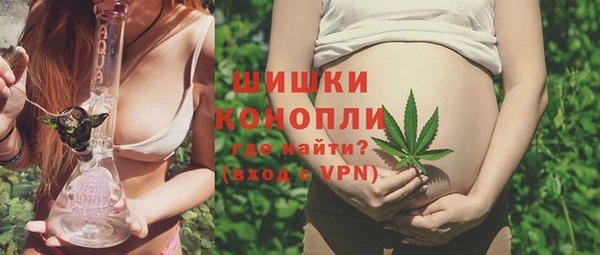 ПСИЛОЦИБИНОВЫЕ ГРИБЫ Алексеевка
