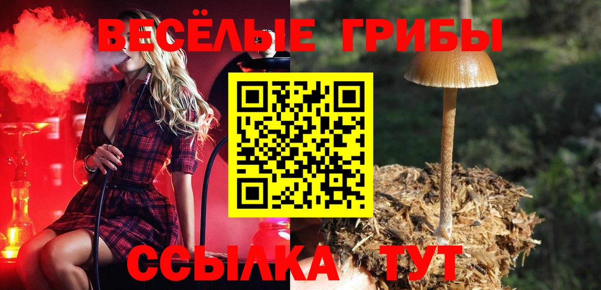 Галлюциногенные грибы GOLDEN TEACHER Чайковский